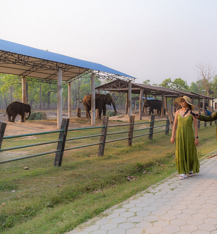 Elephant Breeding Center